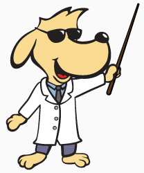 Professor HotDog Right
