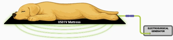 U501 Veterinary Return Electrode Diagram