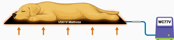 U501V Veterinary Air-Free Warming Diagram